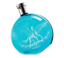 Аромат Hermès Eau Des Merveilles Pegase Туалетная вода