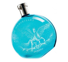 Аромат Hermès Eau Des Merveilles Pegase Туалетная вода