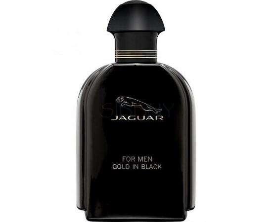 Купить Аромат Jaguar Jaguar For Men Gold in Black Туалетная вода