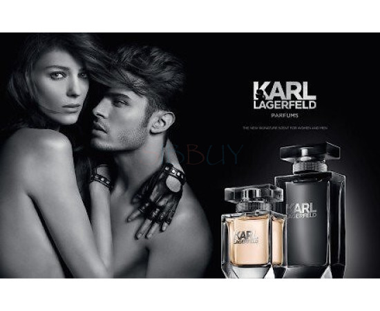 Купить Аромат Karl Lagerfeld Karl Lagerfeld for Him Туалетная вода