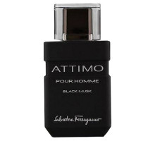 Аромат Salvatore Ferragamo Attimo Pour Homme Black Musk Туалетная вода