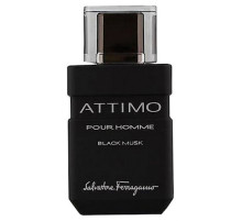 Аромат Salvatore Ferragamo Attimo Pour Homme Black Musk Туалетная вода