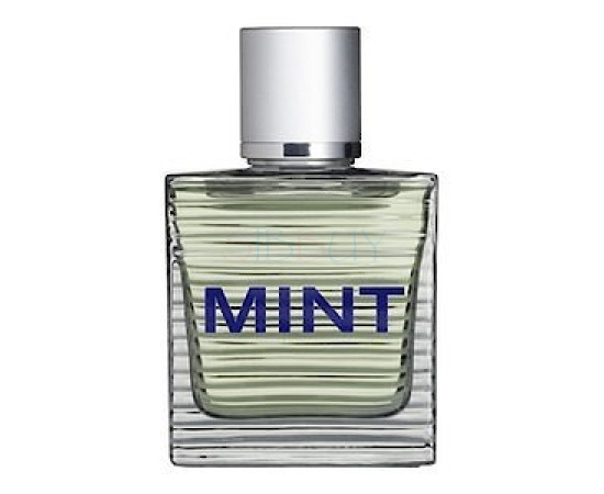 Купить Аромат Toni Gard Mint Man Туалетная вода