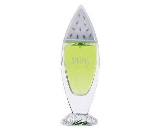 Купить Аромат Yves Rocher Neblina Туалетная вода
