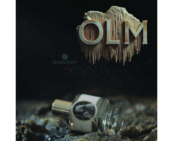 Купить Аромат Zoologist Perfumes Olm Духи / Экстракт
