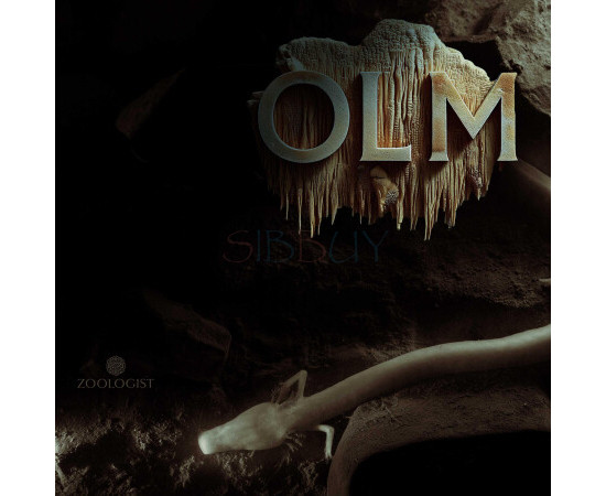 Купить Аромат Zoologist Perfumes Olm Духи / Экстракт