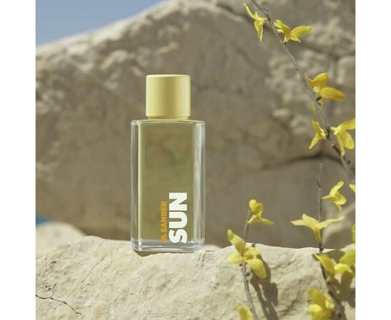 Купить Аромат Jil Sander Sun Sea Salt & Genista Туалетная вода