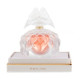 Купить Аромат Lalique Lalique de Lalique Butterfly Crystal Edition Духи / Экстракт