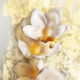 Купить Аромат Dior J'adore Absolu Парфюмерная вода