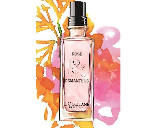 Купить Аромат L`Occitane en Provence Rose & Osmanthus Туалетная вода