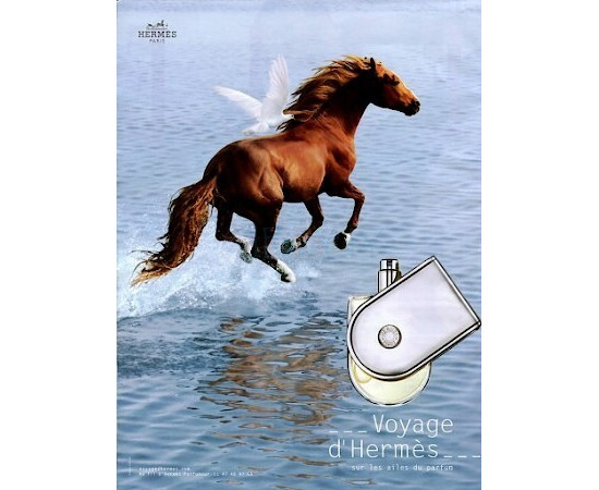 Купить недорого Аромат Hermès Voyage dHermes Туалетная вода