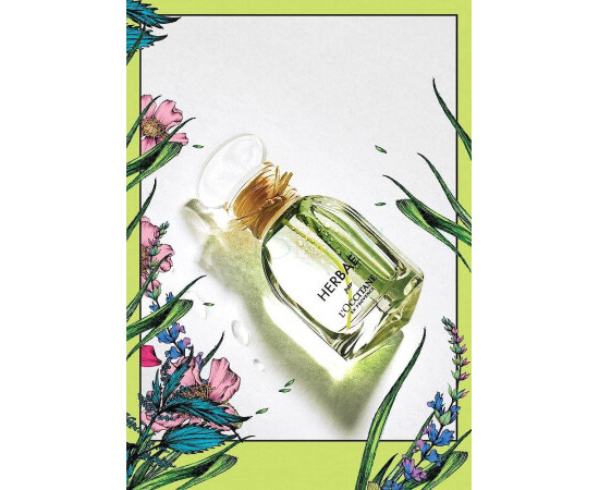 Купить недорого Аромат L`Occitane en Provence Herbae Парфюмерная вода