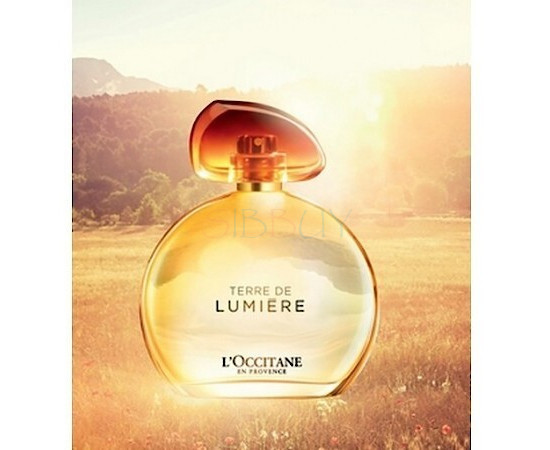 Купить недорого Аромат L`Occitane en Provence Terre de Lumiere Парфюмерная вода
