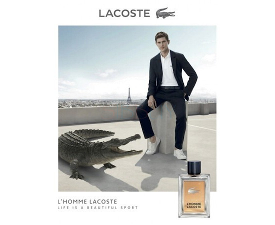 Купить недорого Аромат Lacoste Lacoste LHomme Туалетная вода