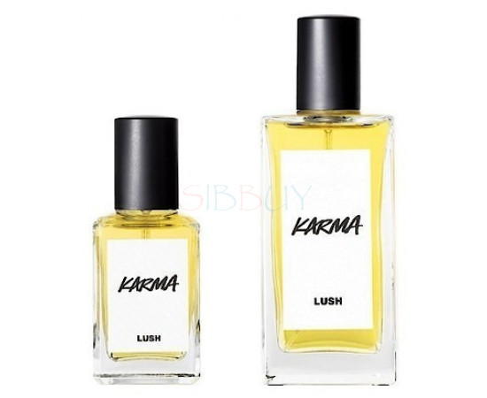 Купить недорого Аромат Lush Karma Туалетная вода