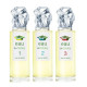 Купить недорого Аромат Sisley Eau de Sisley 3 Туалетная вода