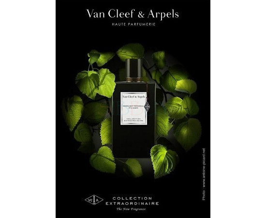 Купить недорого Аромат Van Cleef & Arpels Moonlight Patchouli Парфюмерная вода