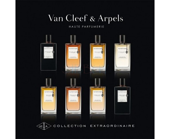 Купить недорого Аромат Van Cleef & Arpels Moonlight Patchouli Парфюмерная вода