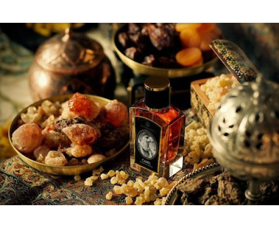 Купить недорого Аромат Zoologist Perfumes Camel Духи / Экстракт