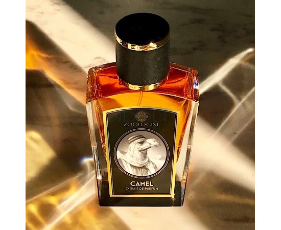 Купить недорого Аромат Zoologist Perfumes Camel Духи / Экстракт