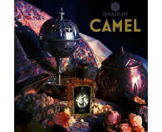 Купить недорого Аромат Zoologist Perfumes Camel Духи / Экстракт