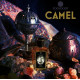 Купить недорого Аромат Zoologist Perfumes Camel Духи / Экстракт
