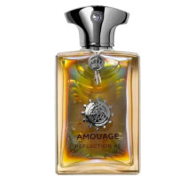 Аромат Amouage Reflection 45 Batch J08291 Духи / Экстракт