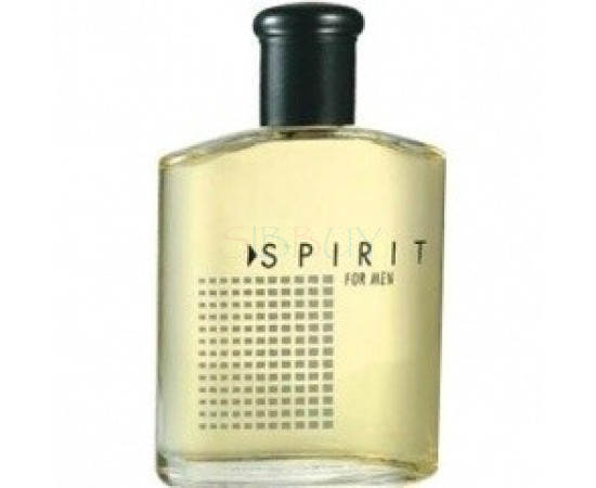 Купить Аромат Avon Spirit for Men