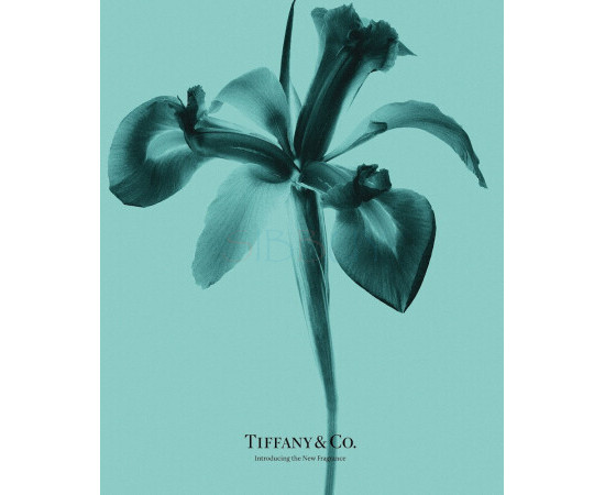 Купить Аромат Tiffany Tiffany & Co Intense Парфюмерная вода