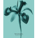 Купить Аромат Tiffany Tiffany & Co Intense Парфюмерная вода
