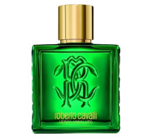 Аромат Roberto Cavalli Uomo Verde Assoluto Парфюмерная вода