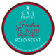 Купить Аромат Soul Purpose Haitian Vetivert Pepper Твёрдые духи