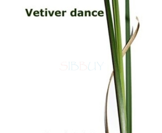 Купить Аромат Tauer Perfumes 07 Vetiver Dance Туалетная вода