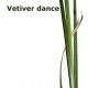 Купить Аромат Tauer Perfumes 07 Vetiver Dance Туалетная вода