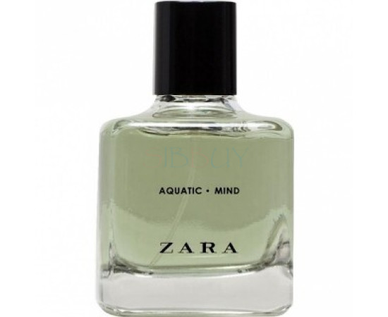 Купить Аромат Zara Aquatic - Mind Туалетная вода