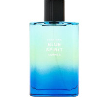 Аромат Zara Zara Man Blue Spirit Summer Туалетная вода