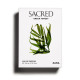 Купить Аромат Zara Sacred Green Forest Парфюмерная вода
