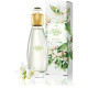 Купить Аромат Avon Célèbre Fresh Туалетная вода