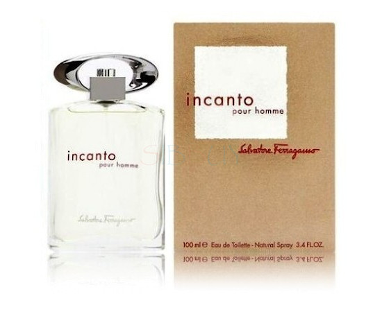 Купить Аромат Salvatore Ferragamo Incanto Pour Homme Туалетная вода