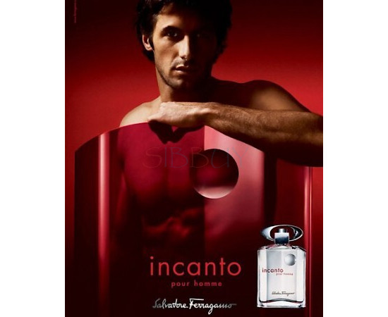 Купить Аромат Salvatore Ferragamo Incanto Pour Homme Туалетная вода