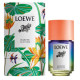 Купить Аромат Loewe Paula's Ibiza Eclectic Туалетная вода