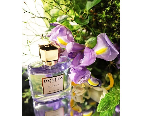 Купить Аромат Parfums Dusita Splendiris Парфюмерная вода