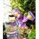 Купить Аромат Parfums Dusita Splendiris Парфюмерная вода