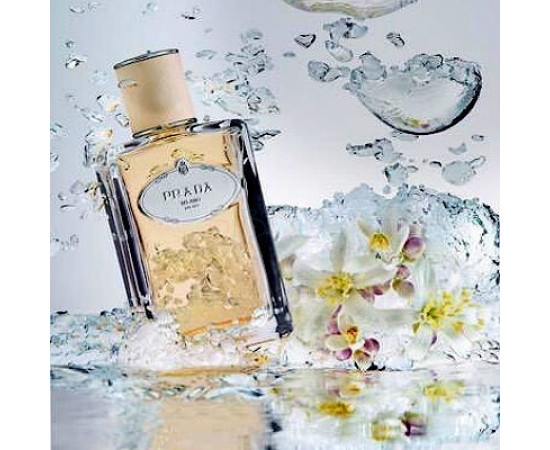 Купить Аромат Prada Infusion de Fleur d'Oranger (2015) Парфюмерная вода