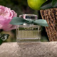Купить недорого Аромат Chloé Chloé Rose Naturelle Intense Парфюмерная вода