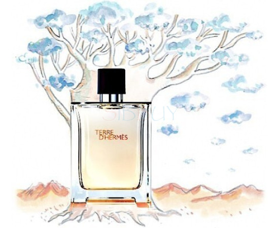 Купить недорого Аромат Hermès Terre dHermes Parfum Духи / Экстракт