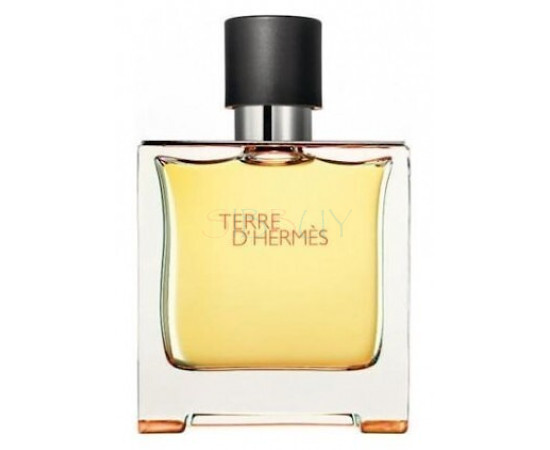 Купить недорого Аромат Hermès Terre dHermes Parfum Духи / Экстракт