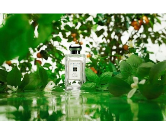 Купить недорого Аромат Jo Malone Basil & Neroli Одеколон