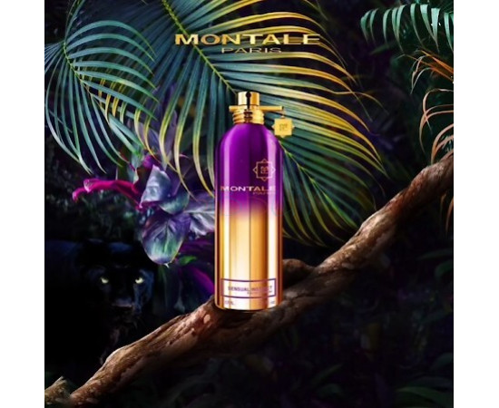 Купить недорого Аромат Montale Sensual Instinct Парфюмерная вода