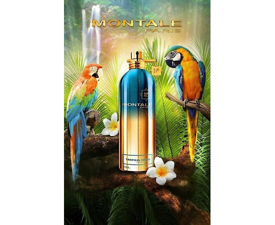 Купить недорого Аромат Montale Tropical Wood Парфюмерная вода